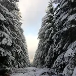Chalet Du Praillage