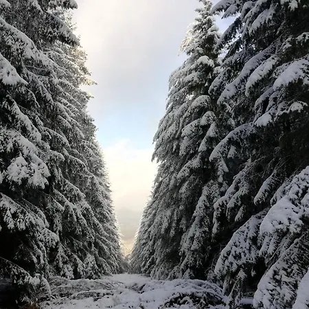 Alpesi faház Du Praillage