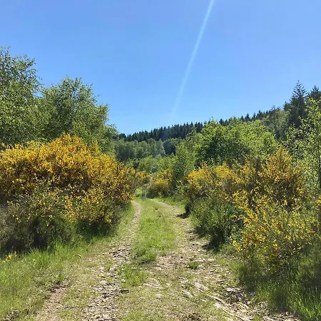 Domek alpejski Du Praillage Spa